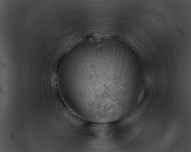 X0000090890671200708031053