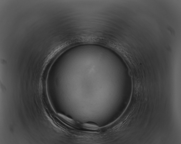 X0000090890674200708031053