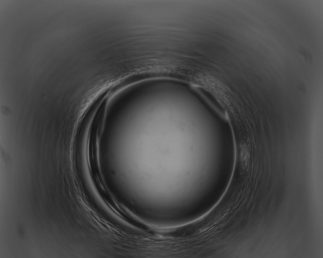 X0000090890676200708031053