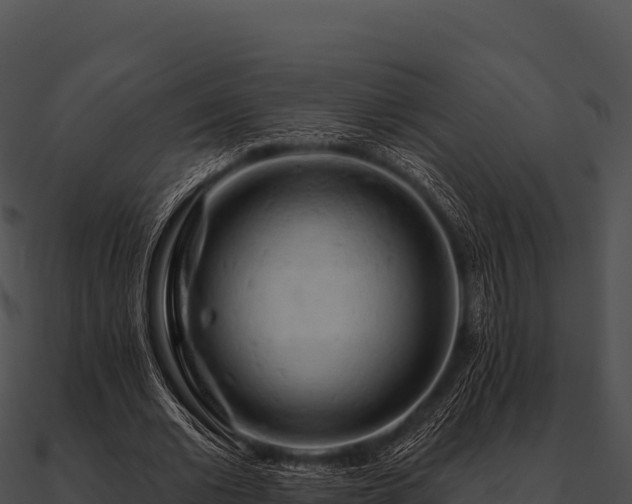 X0000090890677200708031053