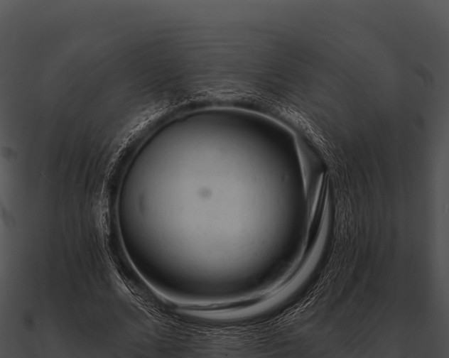 X0000090890680200708031053