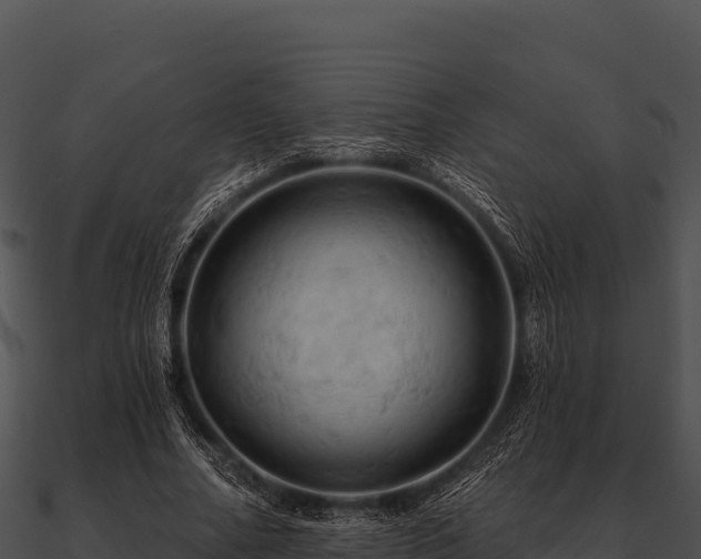 X0000090890682200708031053