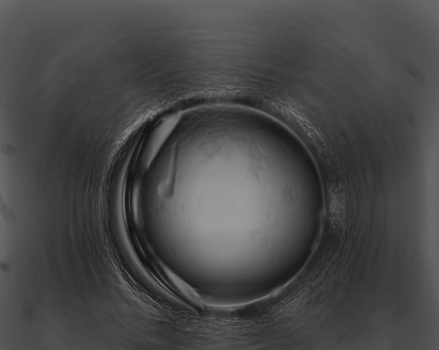 X0000090890684200708031053