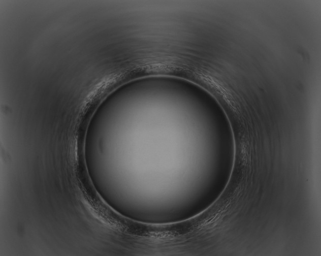 X0000090890686200708031053