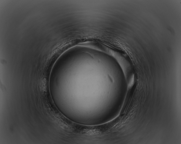 X0000090890689200708031052