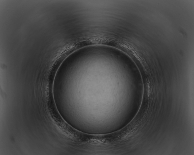 X0000090890690200708031052