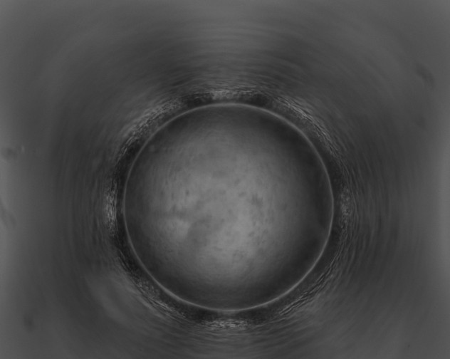 X0000090890691200708031052