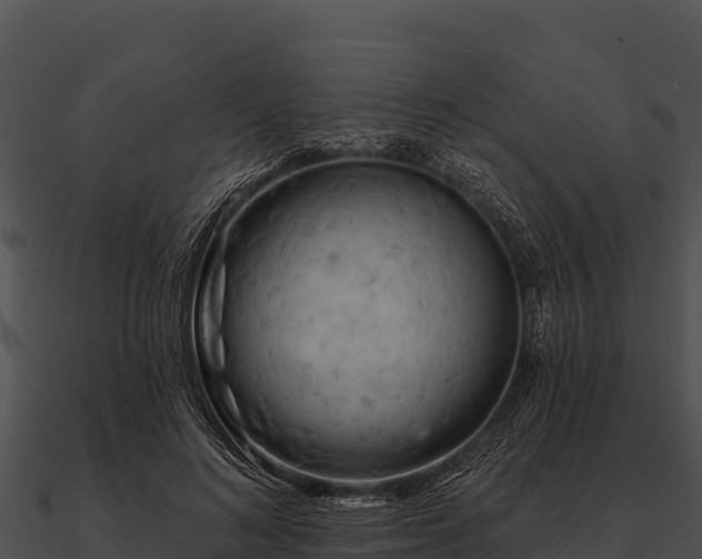 X0000090890692200708031052