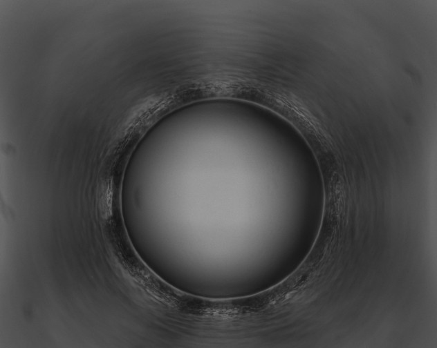 X0000090890694200708031052