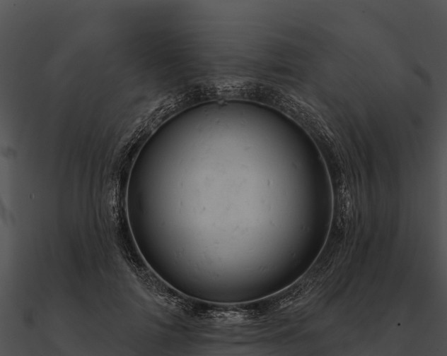 X0000090890698200708031052