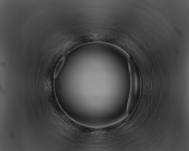 X0000090890700200708031052