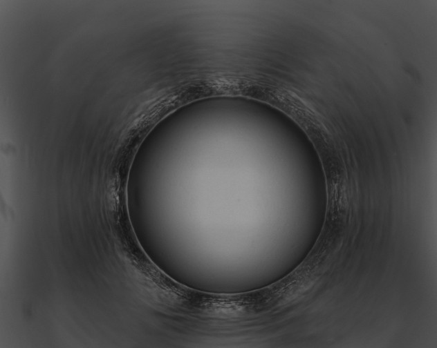 X0000090890702200708031052