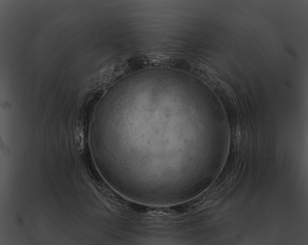 X0000090890703200708031052