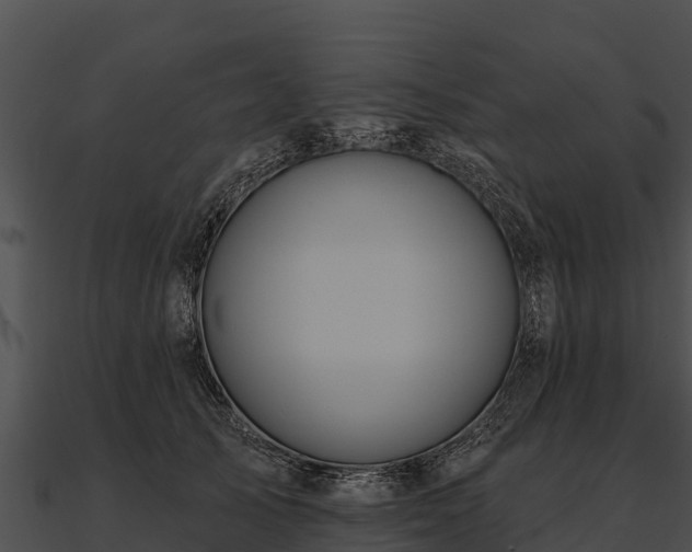 X0000090890705200708031052