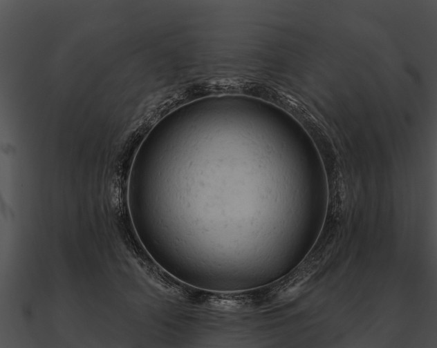 X0000090890706200708031052