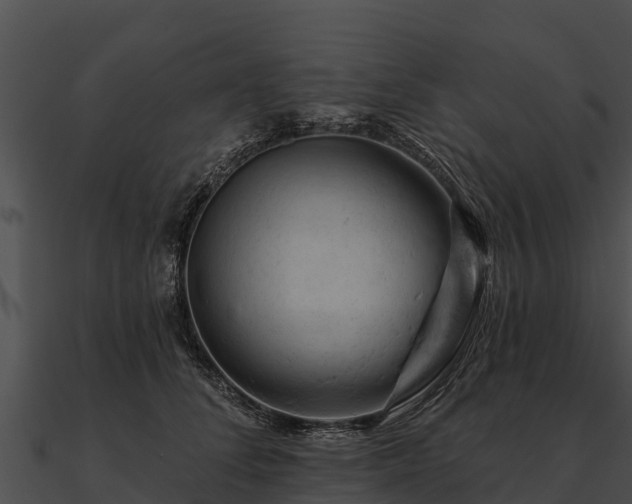 X0000090890708200708031052