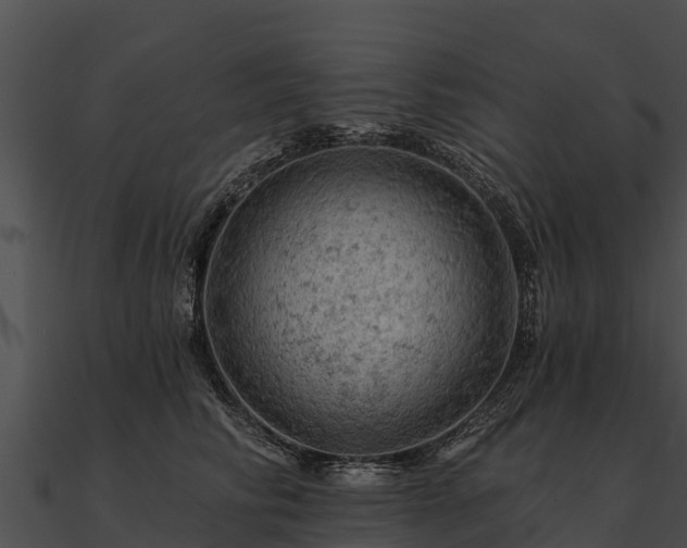 X0000090890710200708031052