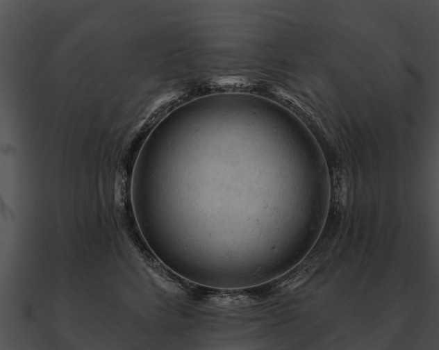 X0000090890712200708031052