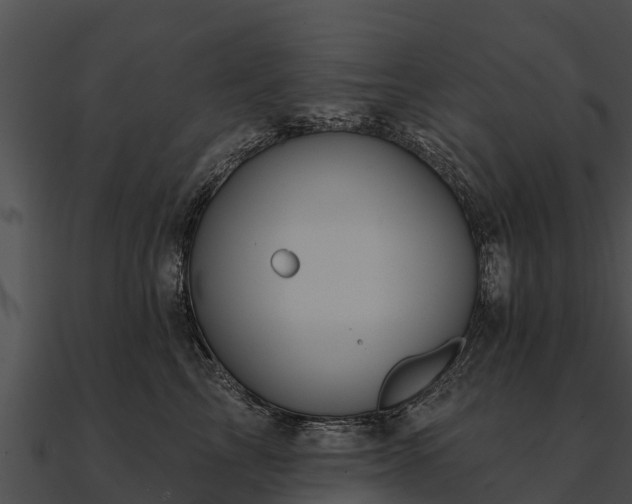 X0000090890713200708031052