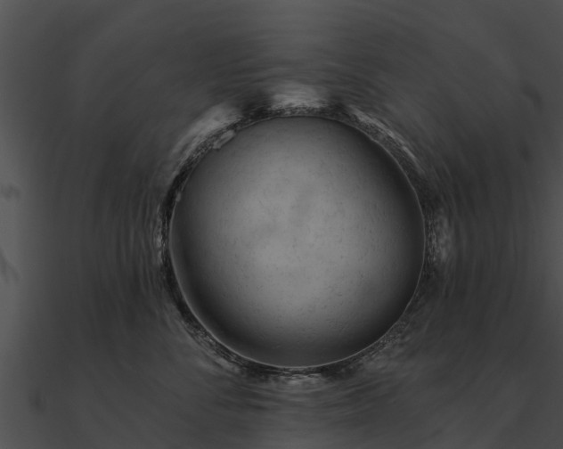 X0000090890716200708031052