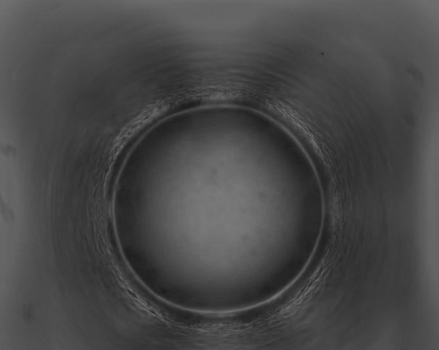 X0000090890721200708031051