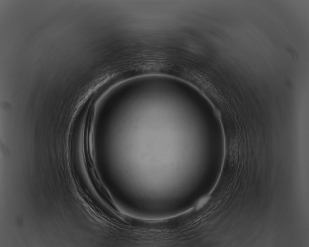 X0000090890722200708031051