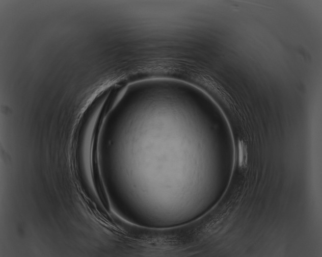 X0000090890723200708031051