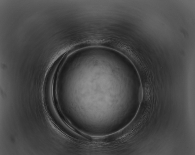 X0000090890726200708031052