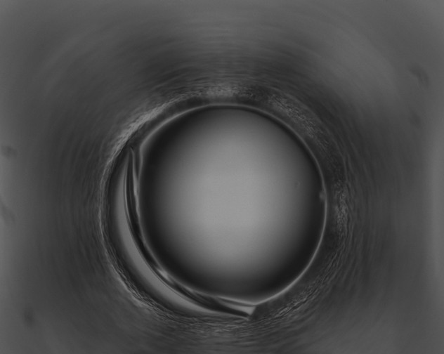 X0000090890728200708031052