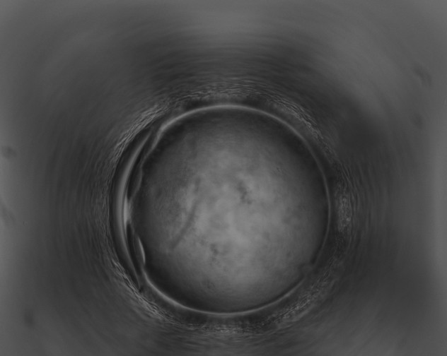 X0000090890729200708031052