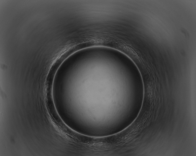 X0000090890730200708031052