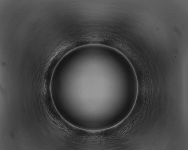 X0000090890731200708031052