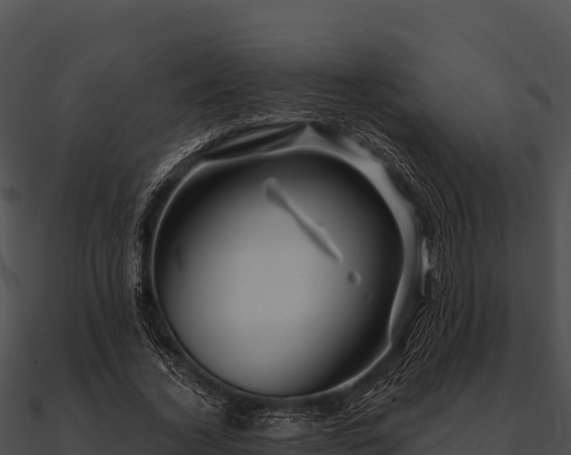 X0000090890732200708031052