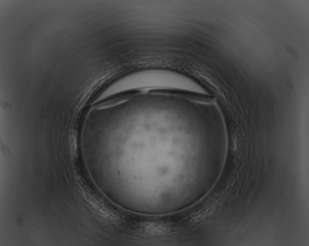 X0000090890733200708031052