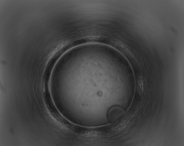 X0000090890734200708031052