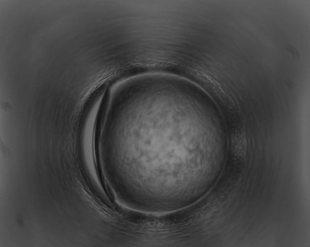 X0000090890735200708031052