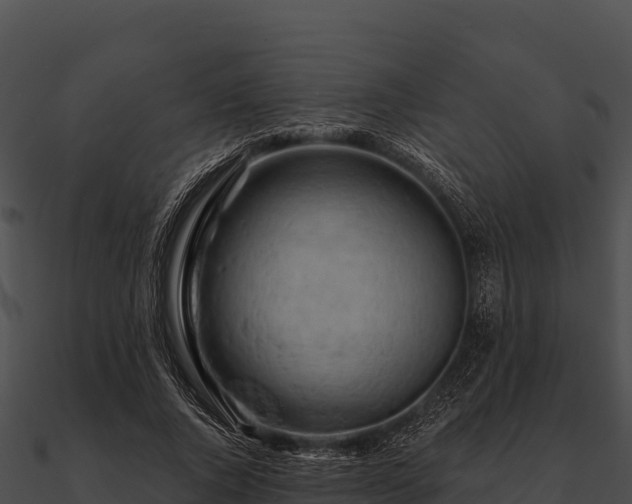 X0000090890736200708031052