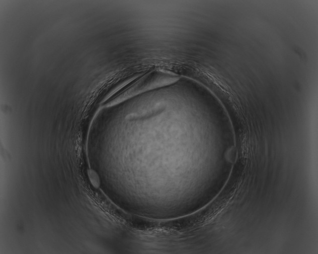 X0000090890737200708031052