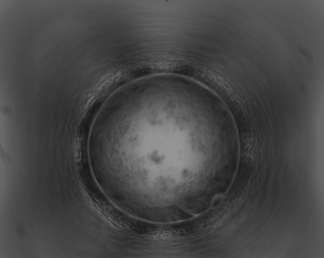 X0000090890738200708031052