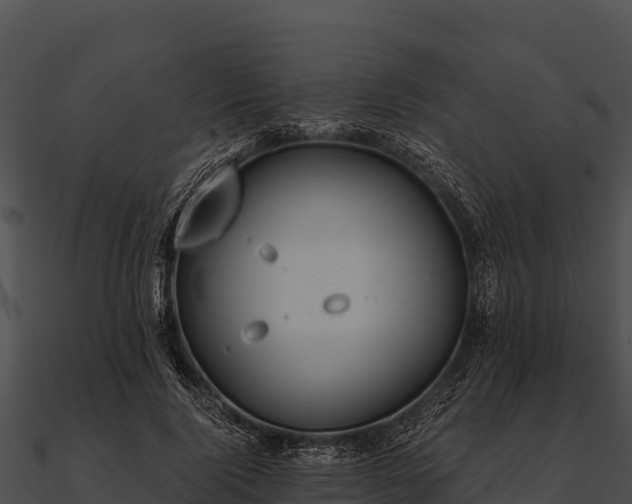 X0000090890740200708031052