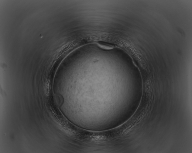 X0000090890741200708031052