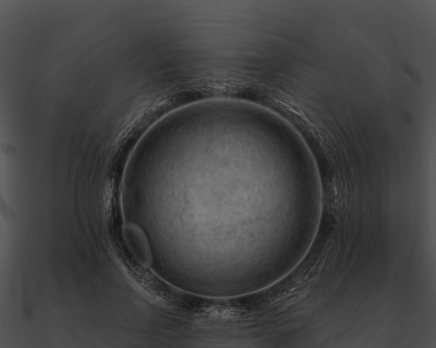 X0000090890742200708031052