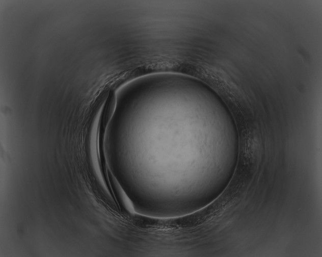 X0000090890743200708031052