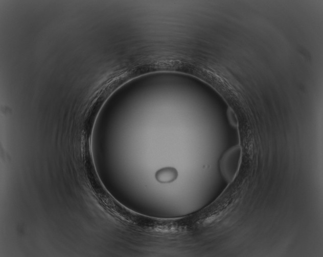 X0000090890744200708031052