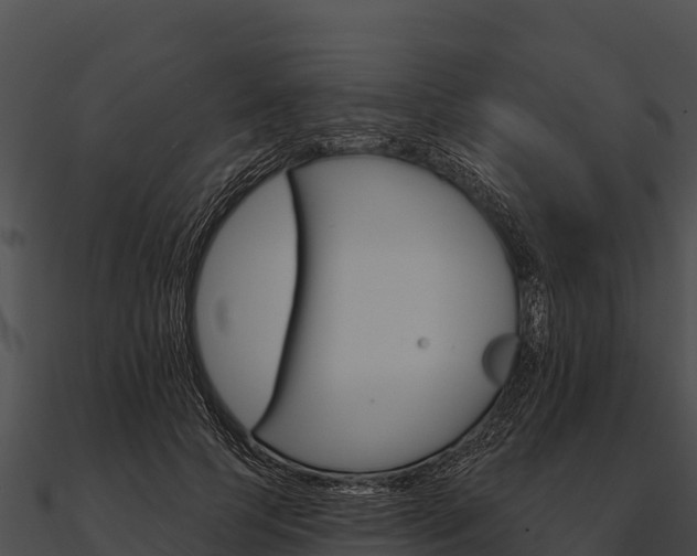 X0000090890745200708031052