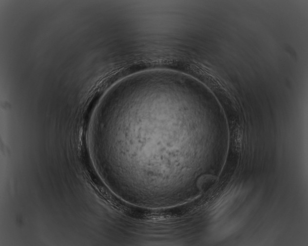 X0000090890746200708031052