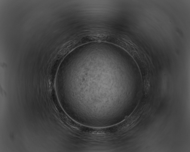 X0000090890749200708031052