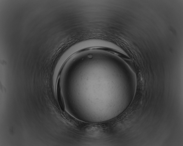 X0000090890750200708031052