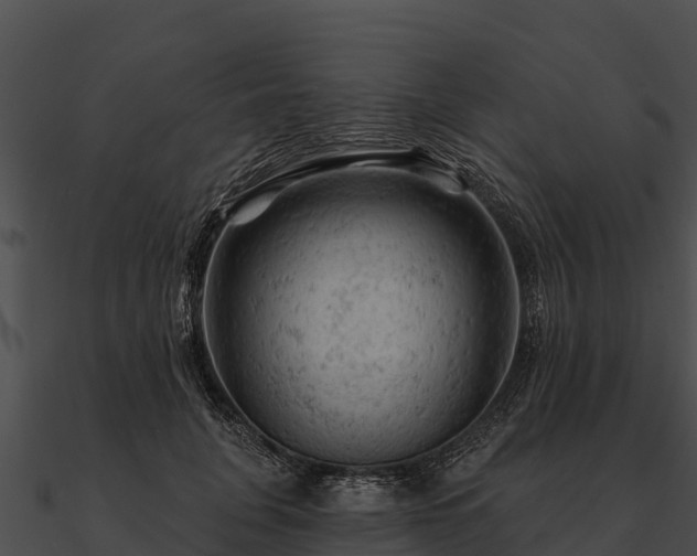 X0000090890751200708031052