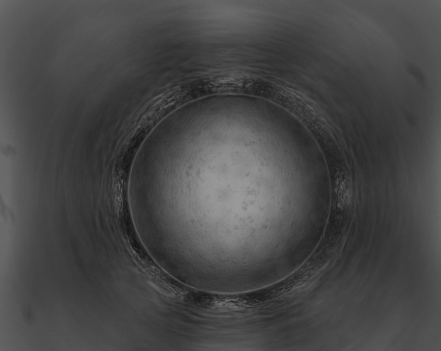 X0000090890753200708031052